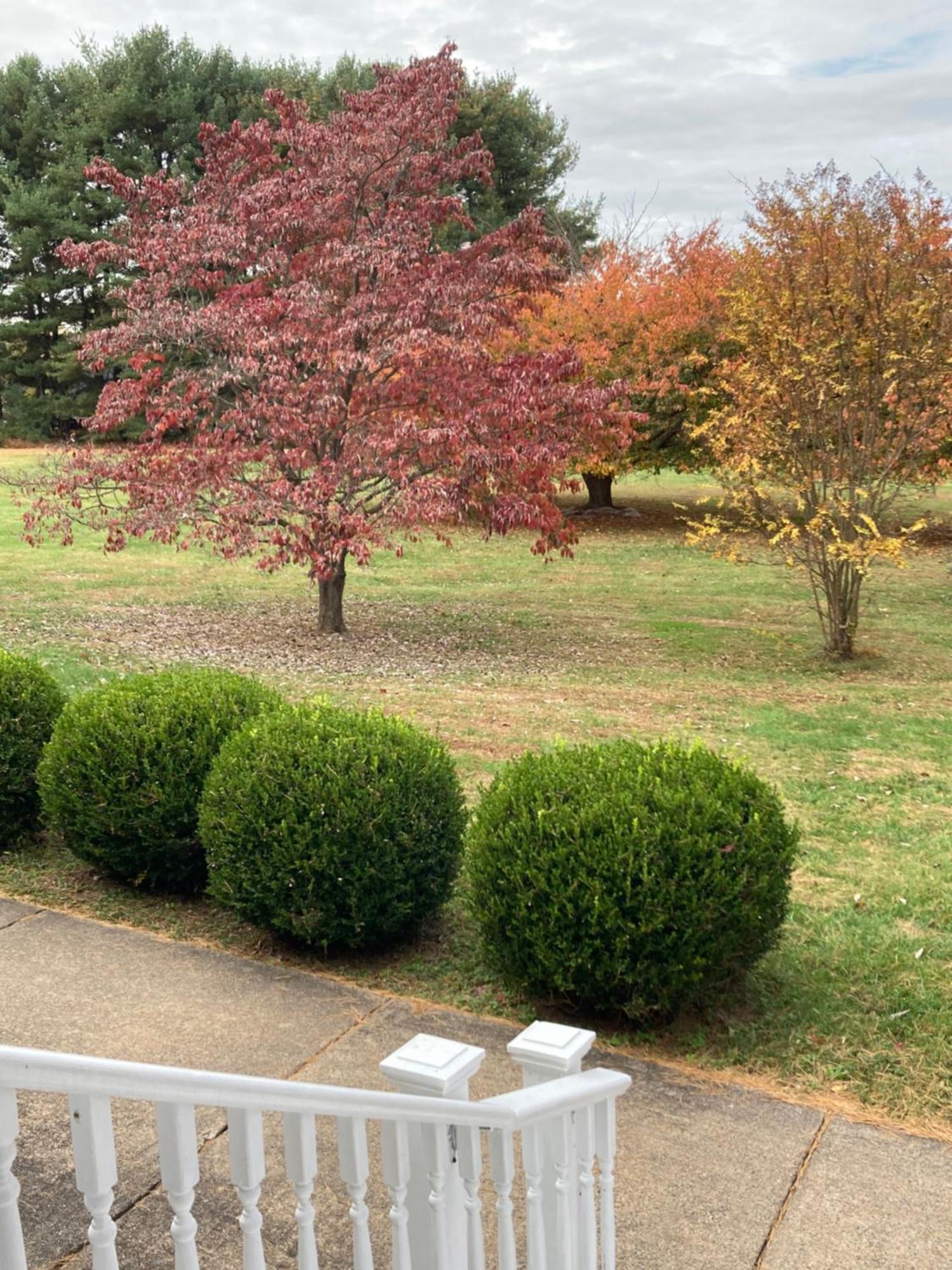 Purcellville Home Екстер'єр фото