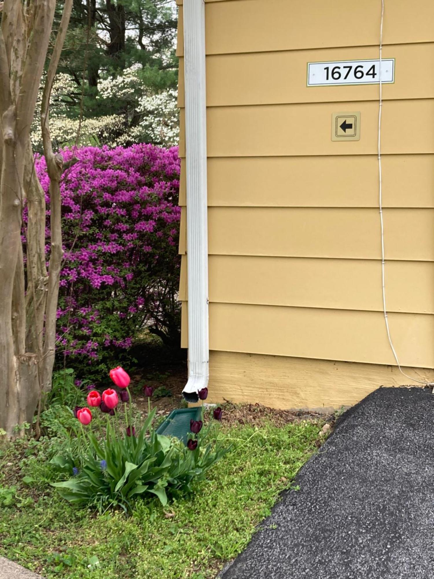 Purcellville Home Екстер'єр фото